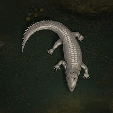 Load image into Gallery viewer, Lizardfolk Token Pack