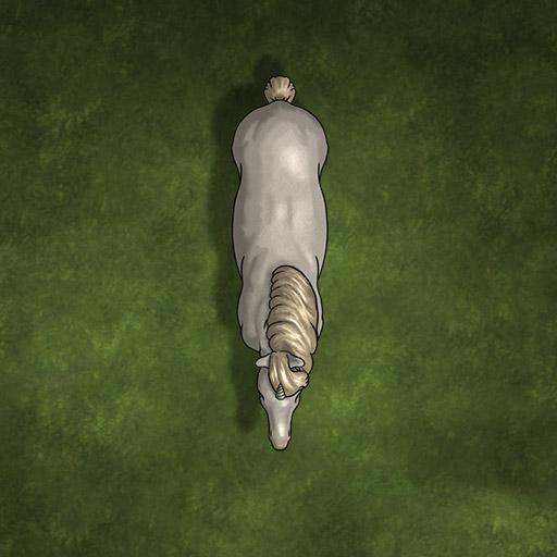 Classic Forest Token Pack