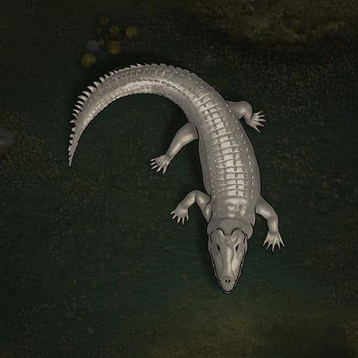 Lizardfolk Token Pack